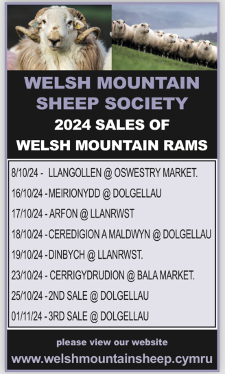 Welsh Mountain Sheep Society