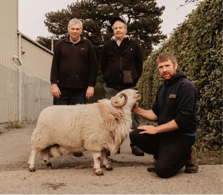 Welsh Mountain Sheep Society